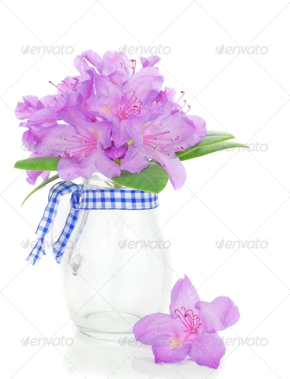 Rhododendron in a Vase Stock Photo by gcpics PhotoDune